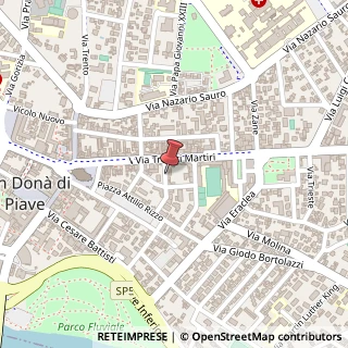 Mappa Via Secondo Ciceri, 20, 30027 San Donà di Piave, Venezia (Veneto)