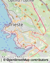 Macellerie Trieste,34148Trieste