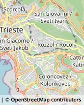 Macellerie Trieste,34149Trieste