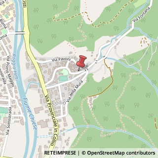 Mappa Via Fontana, 17, 25079 Collio BS, Italia, 25079 Vobarno, Brescia (Lombardia)
