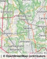 Agenzie di Animazione e Spettacolo Seveso,20822Monza e Brianza