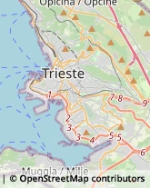 Abbigliamento Trieste,34148Trieste