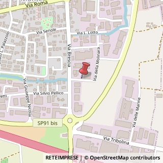 Mappa Via della Molinara, 20, 24064 Grumello del Monte, Bergamo (Lombardia)
