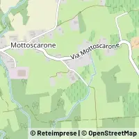 Carte Suno