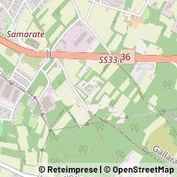 Carte Gallarate