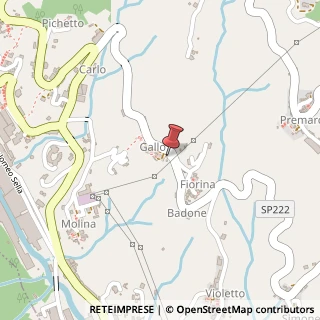 Mappa Frazione Gallo, 46, 13825 Valle Mosso, Biella (Piemonte)
