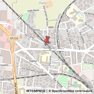 Mappa Via Carso, 24, 21047 Saronno, Varese (Lombardia)