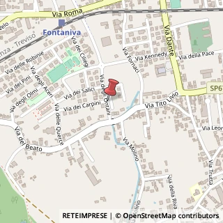 Mappa Via degli Ontani, 4, 35014 Fontaniva, Padova (Veneto)