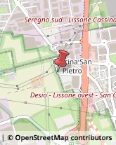 Via Madre Teresa, 16,20851Desio