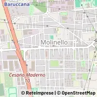 Map Cesano Maderno