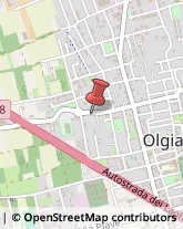 Via Armando Diaz, 49,21057Olgiate Olona