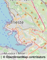 Tabaccherie Trieste,34128Trieste