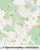 Autofficine e Centri Assistenza Pettinengo,13823Biella