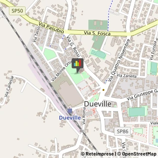 Uccelli Dueville,36031Vicenza