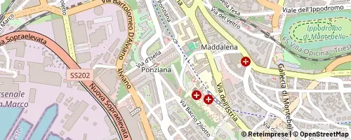 Mappa Trieste