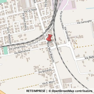 Mappa Via Muri Bianchi, 50, 35013 Cittadella, Padova (Veneto)