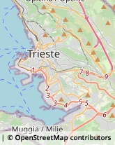 Massaggi Trieste,34128Trieste