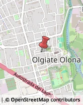 Via P. Parini, 16,21057Olgiate Olona