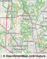 Carte da Gioco Seveso,20822Monza e Brianza