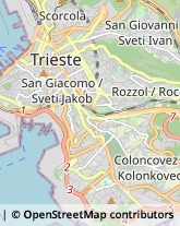 Asili Nido Trieste,34141Trieste