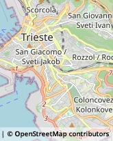 Scuole Pubbliche Trieste,34139Trieste