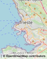 Frutta e Verdura - Dettaglio Trieste,34148Trieste