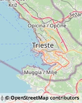 Frutta e Verdura - Dettaglio Trieste,34143Trieste