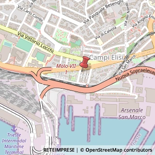 Mappa Viale Campi Elisi, 29, 34143 Trieste, Trieste (Friuli-Venezia Giulia)