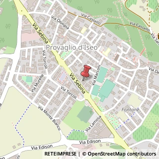 Mappa Via Sebina, 24G, 25050 Provaglio d'Iseo, Brescia (Lombardia)