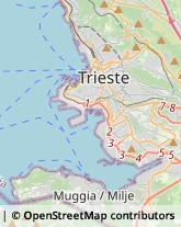 Agenzie Immobiliari Trieste,34146Trieste