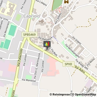 Elettrauto Capriolo,25031Brescia