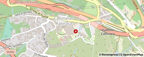 Mappa Trieste