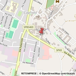Mappa Via Cerese,  5, 25031 Capriolo, Brescia (Lombardia)