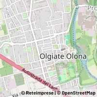 Mapa Olgiate Olona