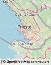 Scuole Pubbliche Trieste,34145Trieste