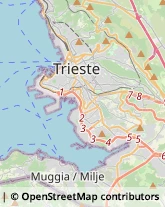 Scuole Pubbliche Trieste,34146Trieste