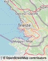 Agenzie Immobiliari Trieste,34137Trieste