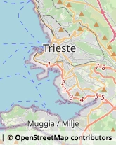 Agenzie Immobiliari Muggia,34015Trieste