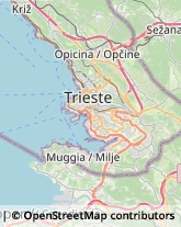 Assicurazioni Trieste,34144Trieste