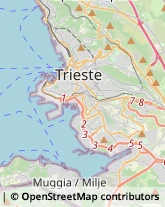 Assicurazioni Trieste,34146Trieste