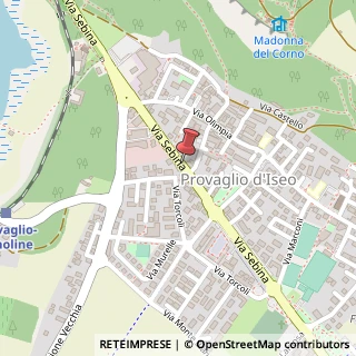 Mappa Via Sebina, 54, 25050 Provaglio d'Iseo, Brescia (Lombardia)