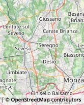 Grassi Uso Alimentare Desio,20832Monza e Brianza