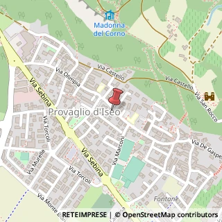 Mappa Via Roma,  11, 25050 Provaglio d'Iseo, Brescia (Lombardia)