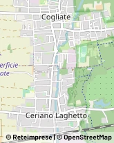 Tributi e Imposte - Uffici Lazzate,20824Monza e Brianza