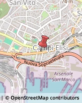 Viale Campi Elisi, 36/B,34143Trieste