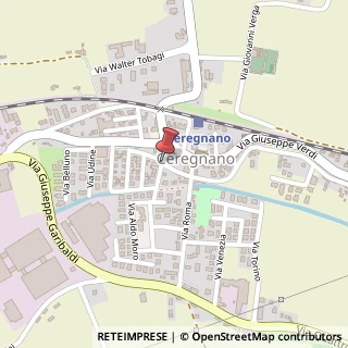 Mappa Via Martiri 25 Aprile, 19, 45010 Ceregnano, Rovigo (Veneto)