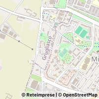 Map Grugliasco
