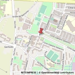 Mappa Corso Gaetano Salvemini, 57, 10137 Torino, Torino (Piemonte)