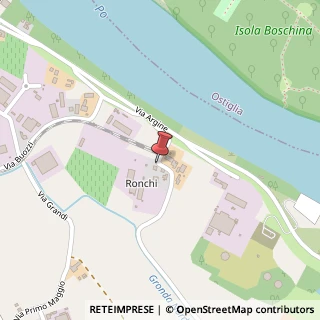 Mappa Strada Ronchi, 1, 46036 Revere, Mantova (Lombardia)