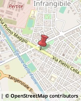 Via Pietro Cella, 80/A,29100Piacenza